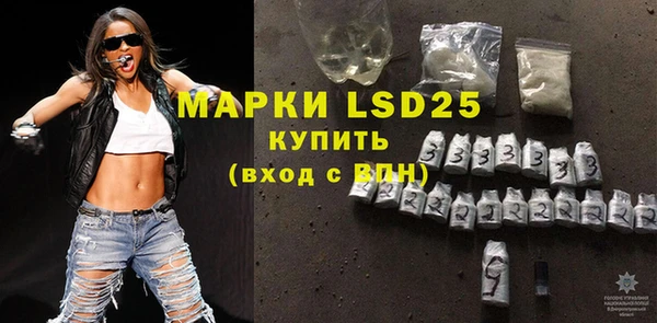 шишки Каменка