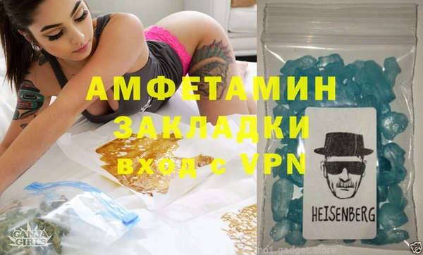 шишки Каменка