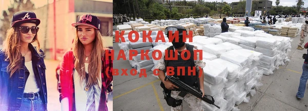 шишки Каменка