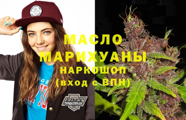 шишки Каменка