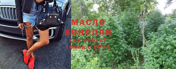 шишки Каменка