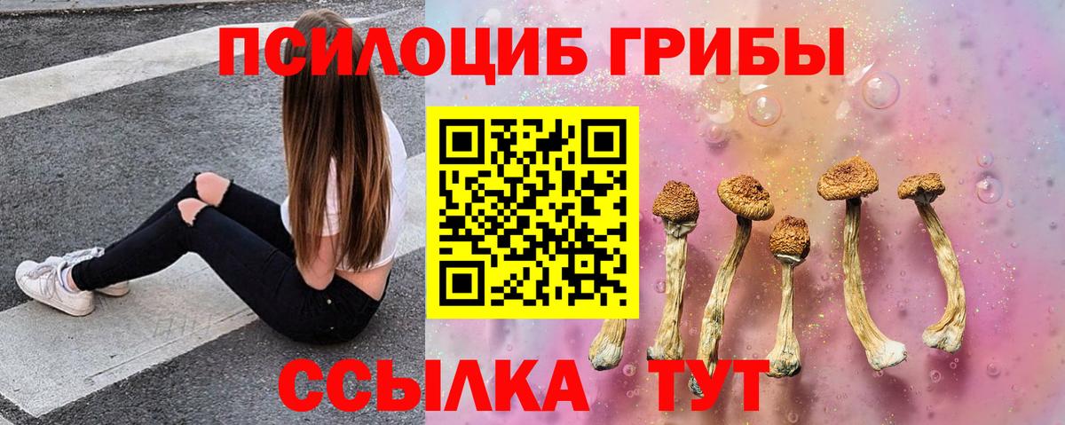 Псилоцибиновые грибы прущие грибы Строитель