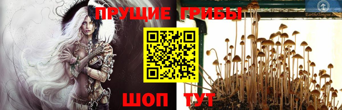 цена наркотик  Вход с VPN  Строитель  Галлюциногенные грибы MAGIC MUSHROOMS  Галлюциногенные грибы прущие грибы 