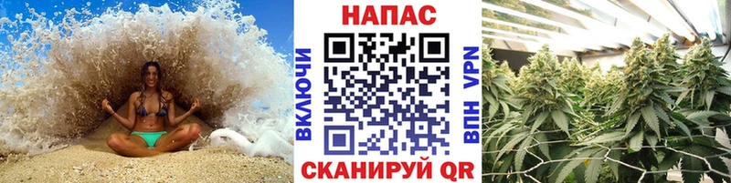 Бошки марихуана тримм  сколько стоит  OMG ссылки  Строитель 